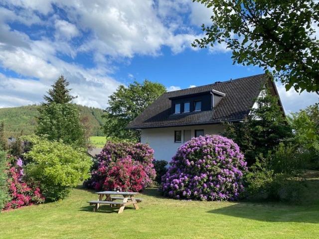 Auf Der Platte Appartement Winterberg Buitenkant foto