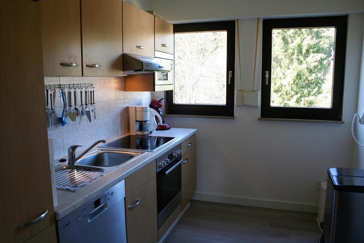 Auf Der Platte Appartement Winterberg Buitenkant foto